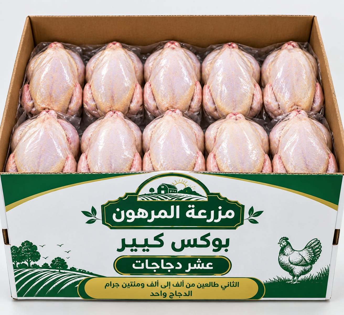 Box of 10 chickens